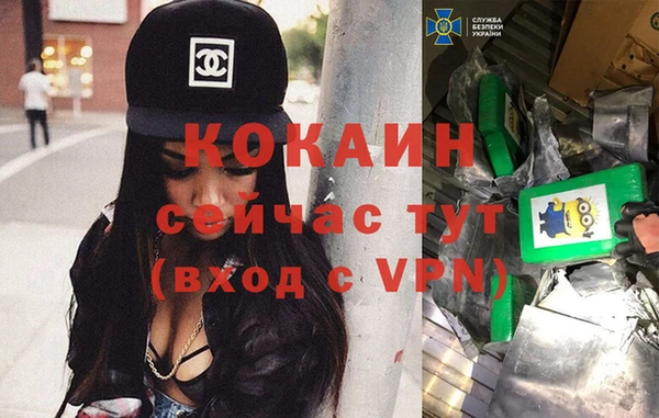 сатива Богородск