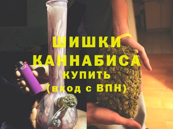 молекула духа Богородицк