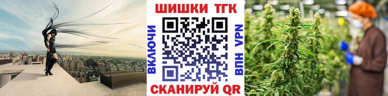 наркотики  Волжск  Марихуана сатива 